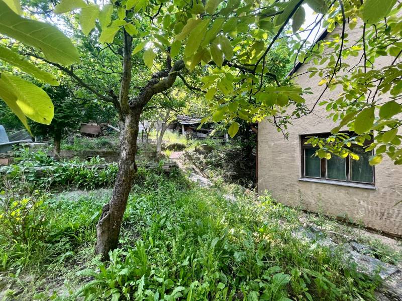 FOR SALE - Unique plot with old house near Horský park, Budkova street