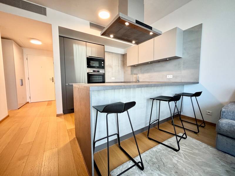 RENTED - Modern 1 bedroom apartment, 24th floor, SKY PARK Tower 2