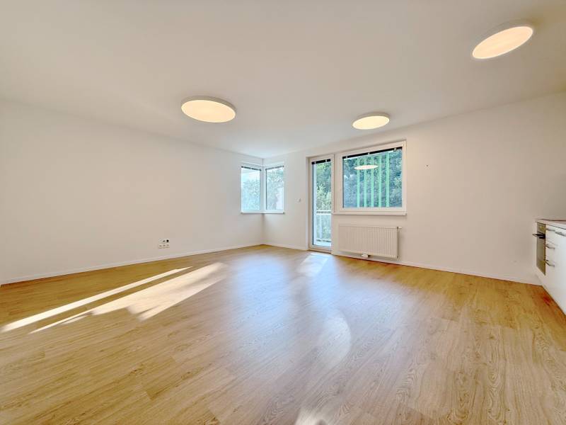 FOR RENT︱NOVÁ VLÁRSKA unfurnished 1BED apt. including parking, Kramáre