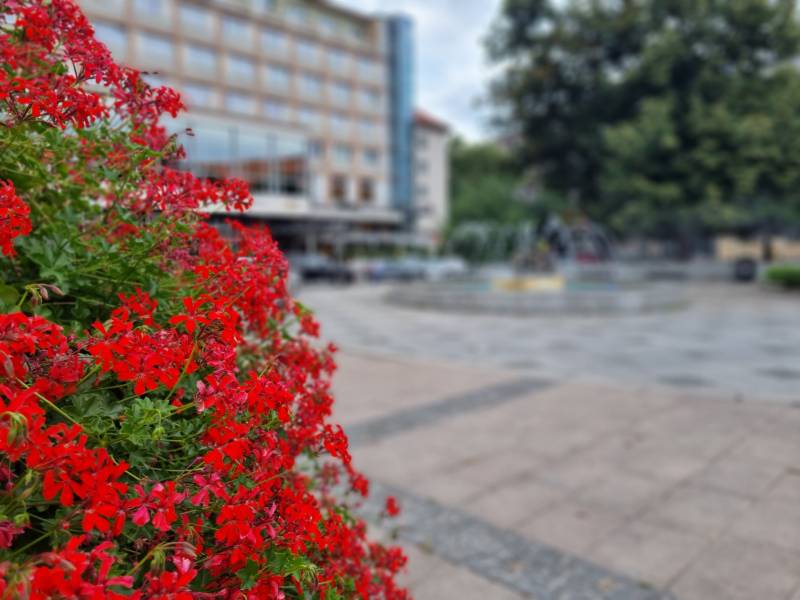 Rent One bedroom apartment, One bedroom apartment, Dulovo námestie, Br