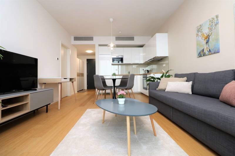 FOR RENT - New 1-bedroom apartment on 19th floor, SKY PARK