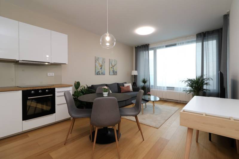 FOR RENT - New 1-bedroom apartment on 19th floor, SKY PARK