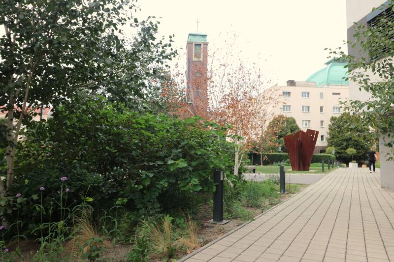 SALE- Cozy and Modern 1-Room Apartment. in the  Stein 2 Development