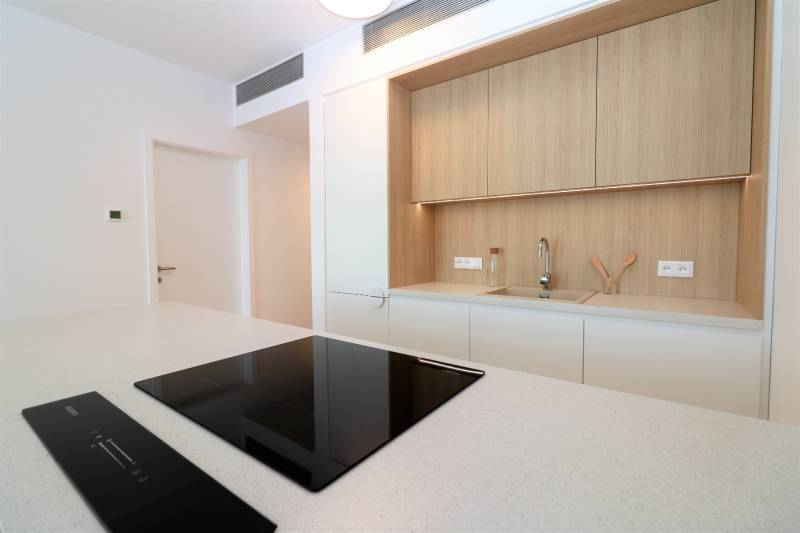 FOR RENT - 1 bedroom apartment with castle view in Skypark,tower1