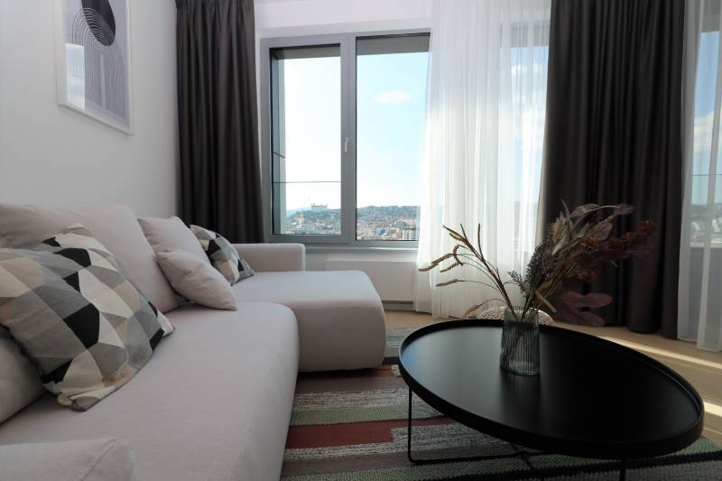 FOR RENT - 1 bedroom apartment with castle view in Skypark,tower1