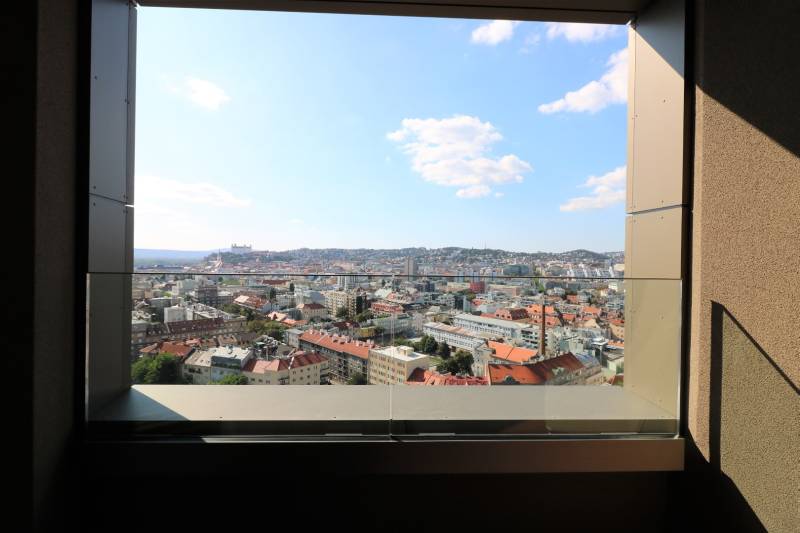 FOR RENT - 1 bedroom apartment with castle view in Skypark,tower1