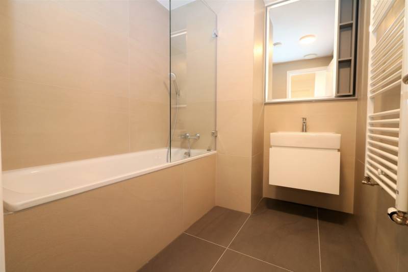 FOR RENT - 1 bedroom apartment with castle view in Skypark,tower1