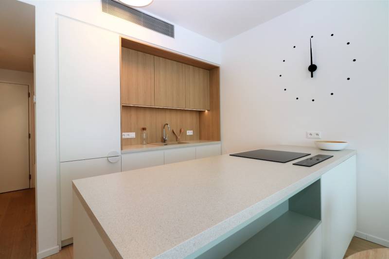 FOR RENT - 1 bedroom apartment with castle view in Skypark,tower1
