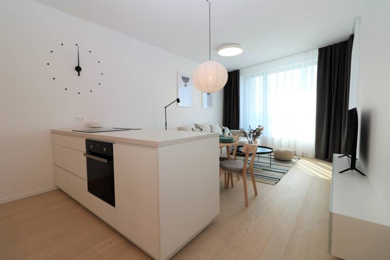 FOR RENT - 1 bedroom apartment with castle view in Skypark,tower1