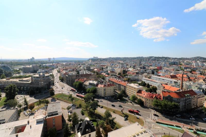 FOR RENT - 1 bedroom apartment with castle view in Skypark,tower1