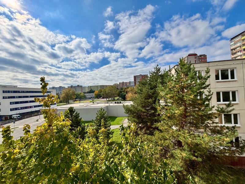 THE HOME I FOR SALE - Spacious and bright apartment in Líščie údolie