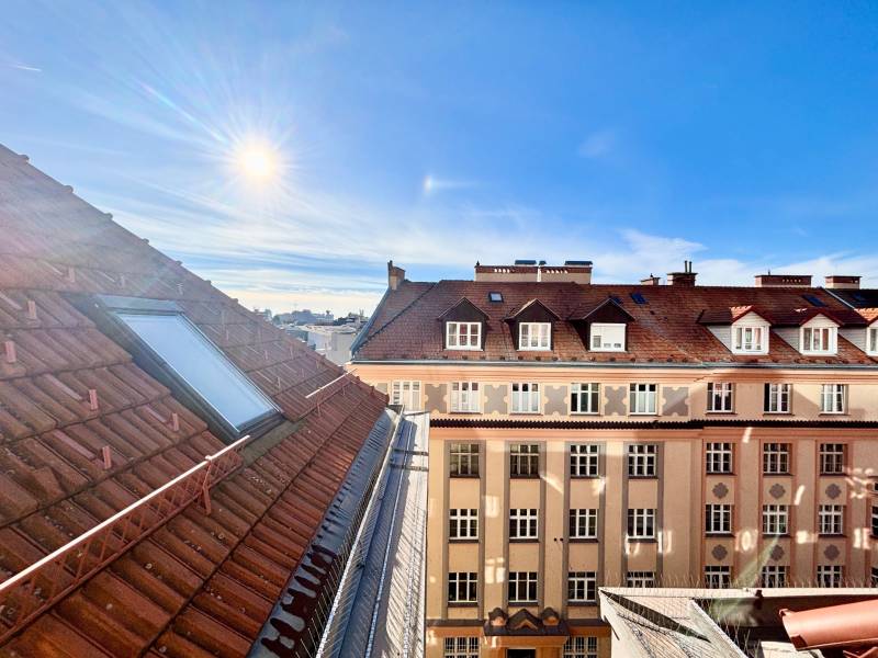 THE HOME I FOR RENT Stylish 1 bedroom apartment on Grösslingova street
