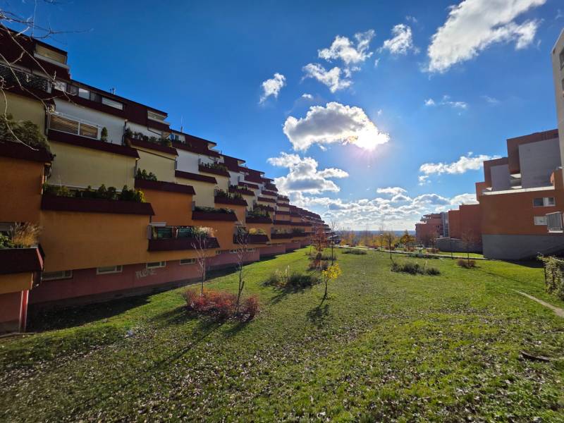 Rent One bedroom apartment, One bedroom apartment, Hany Meličkovej, Br