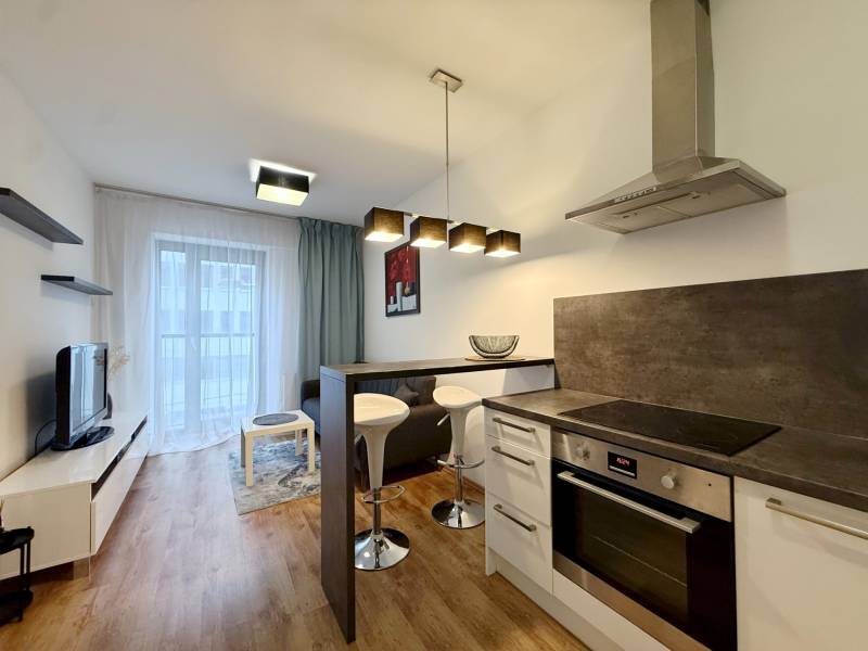 FOR RENT︱Cozy 1 bedroom apartment near historic centre, Suché Mýto