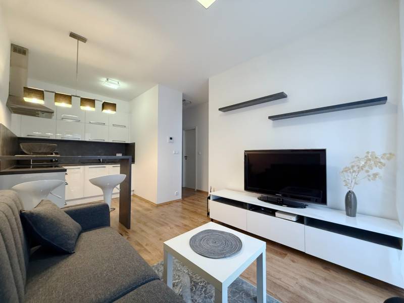 FOR RENT︱Cozy 1 bedroom apartment near historic centre, Suché Mýto