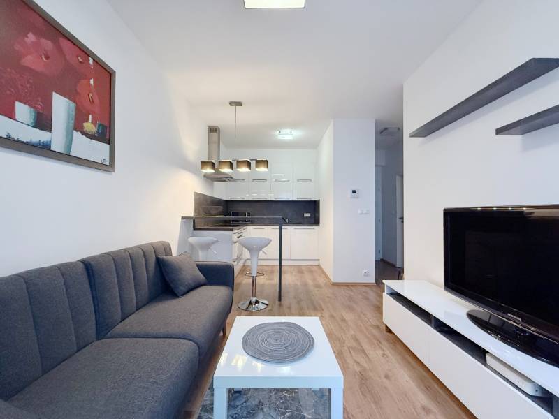 FOR RENT︱Cozy 1 bedroom apartment near historic centre, Suché Mýto