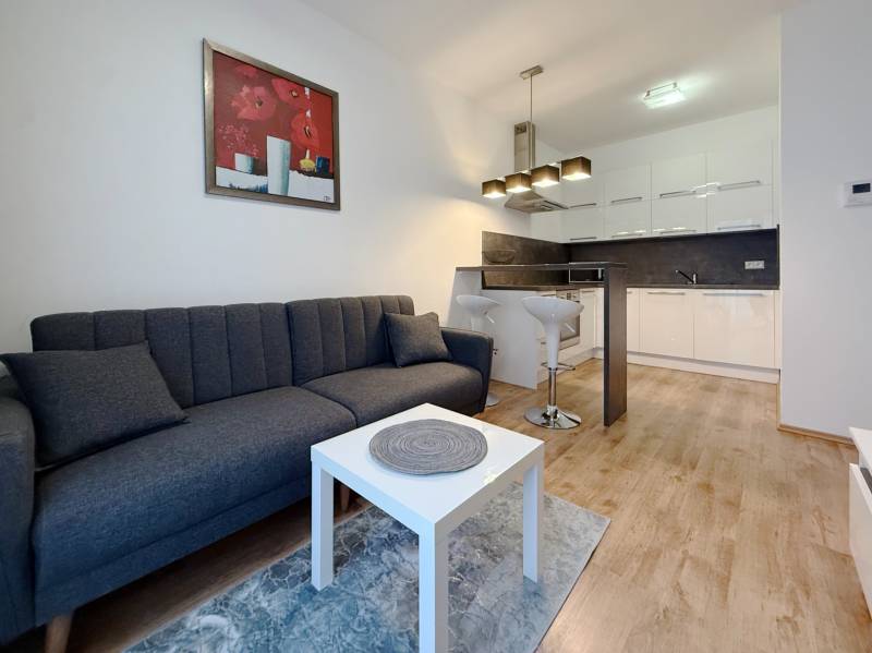 FOR RENT︱Cozy 1 bedroom apartment near historic centre, Suché Mýto