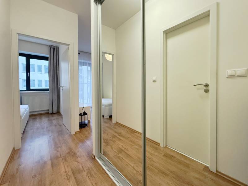 FOR RENT︱Cozy 1 bedroom apartment near historic centre, Suché Mýto